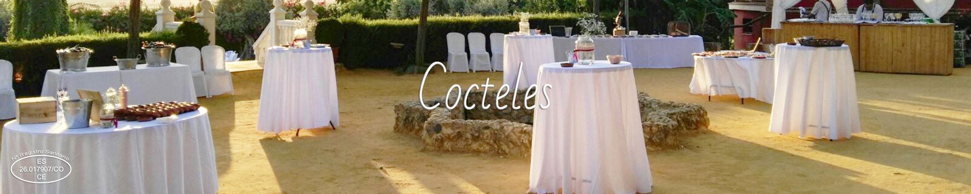 coctelesFDCD7AD1-AA27-3018-E8EF-1E701616FBC7.jpg